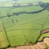 Green farmland from the air.