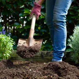Person wearing jeans and gloves using a shovel to dig soil in a garden, surrounded by green plants and shrubs.