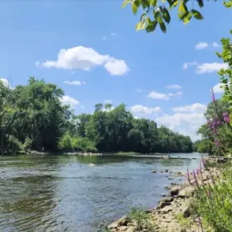 Scenic view of a calm river surrounded by dense green trees at Eastwood MetroPark, with a bright blue sky and white clouds overhead.